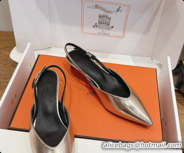 Purchase Hermes Nicoletta 40 Pump in Champagne Leather 080612 2026