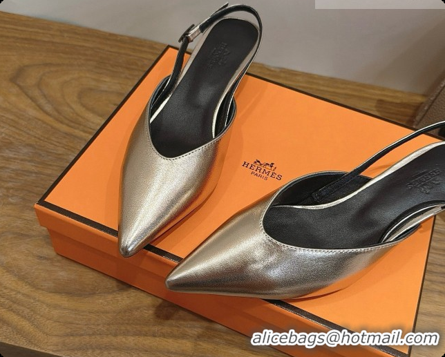 Purchase Hermes Nicoletta 40 Pump in Champagne Leather 080612 2026