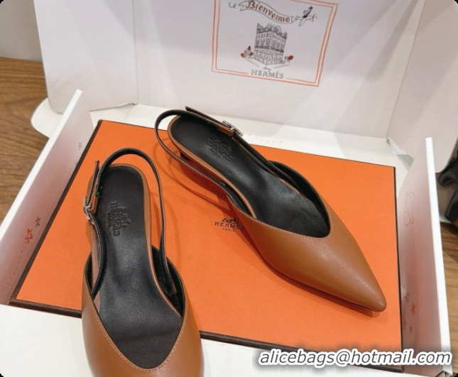 Perfect Hermes Nicoletta 40 Pump in Brown Leather 6080613 2026