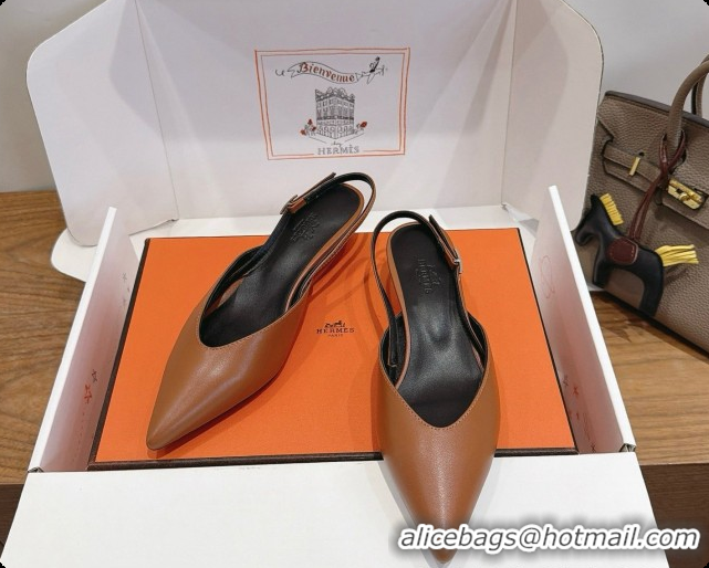 Perfect Hermes Nicoletta 40 Pump in Brown Leather 6080613 2026