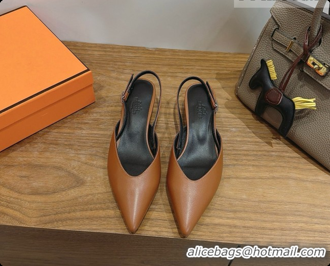 Perfect Hermes Nicoletta 40 Pump in Brown Leather 6080613 2026