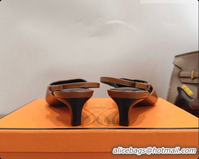 Perfect Hermes Nicoletta 40 Pump in Brown Leather 6080613 2026
