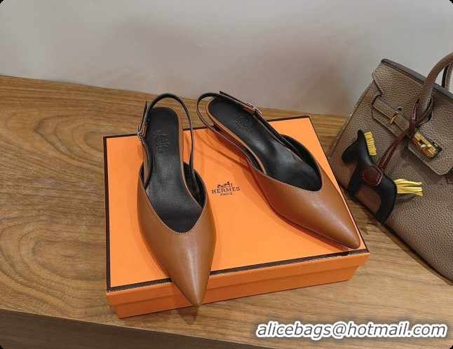 Perfect Hermes Nicoletta 40 Pump in Brown Leather 6080613 2026