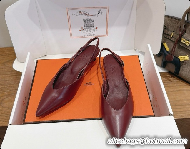 Good Quality Hermes Nicoletta 40 Pump in Burgundy Leather 6080614 2026