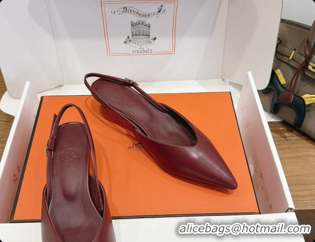 Good Quality Hermes Nicoletta 40 Pump in Burgundy Leather 6080614 2026