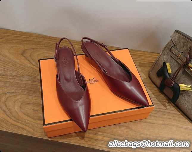 Good Quality Hermes Nicoletta 40 Pump in Burgundy Leather 6080614 2026
