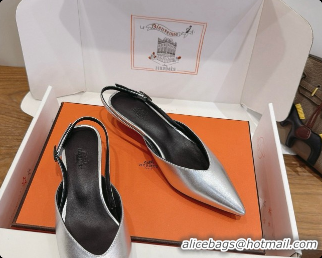 Grade Quality Hermes Nicoletta 40 Pump in Silver Leather 6080615 2026