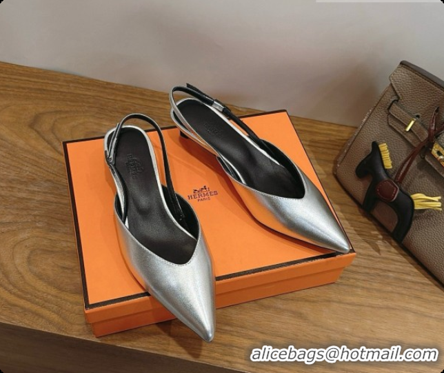 Grade Quality Hermes Nicoletta 40 Pump in Silver Leather 6080615 2026