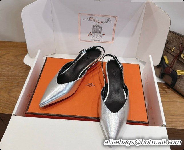 Grade Quality Hermes Nicoletta 40 Pump in Silver Leather 6080615 2026