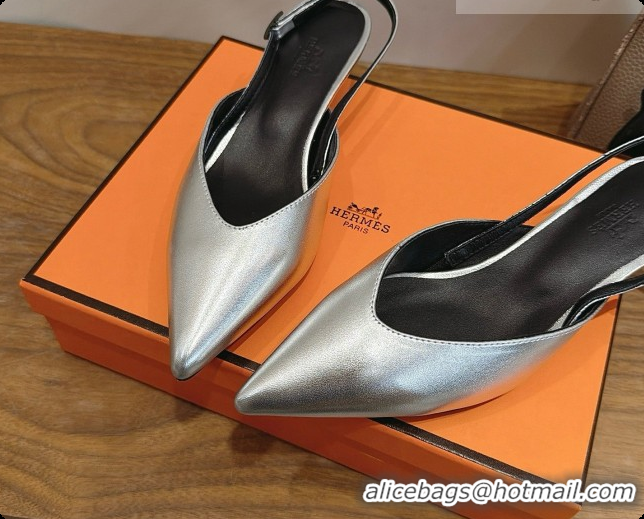 Grade Quality Hermes Nicoletta 40 Pump in Silver Leather 6080615 2026