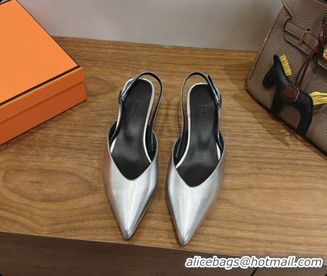 Grade Quality Hermes Nicoletta 40 Pump in Silver Leather 6080615 2026