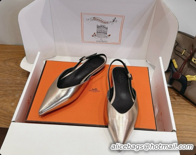 Pretty Style Hermes Nicoletta Slingback in Champagne Leather 6080618 2026
