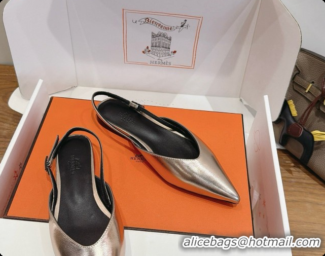 Pretty Style Hermes Nicoletta Slingback in Champagne Leather 6080618 2026
