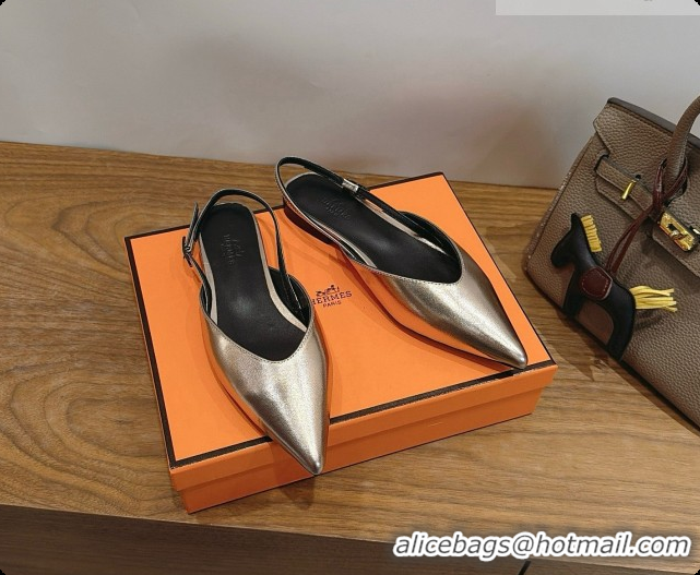 Pretty Style Hermes Nicoletta Slingback in Champagne Leather 6080618 2026