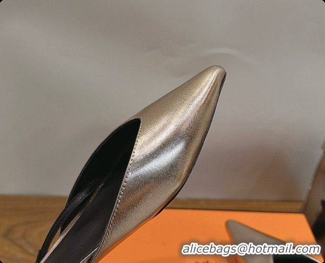 Pretty Style Hermes Nicoletta Slingback in Champagne Leather 6080618 2026