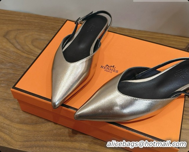 Pretty Style Hermes Nicoletta Slingback in Champagne Leather 6080618 2026