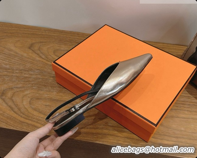 Pretty Style Hermes Nicoletta Slingback in Champagne Leather 6080618 2026