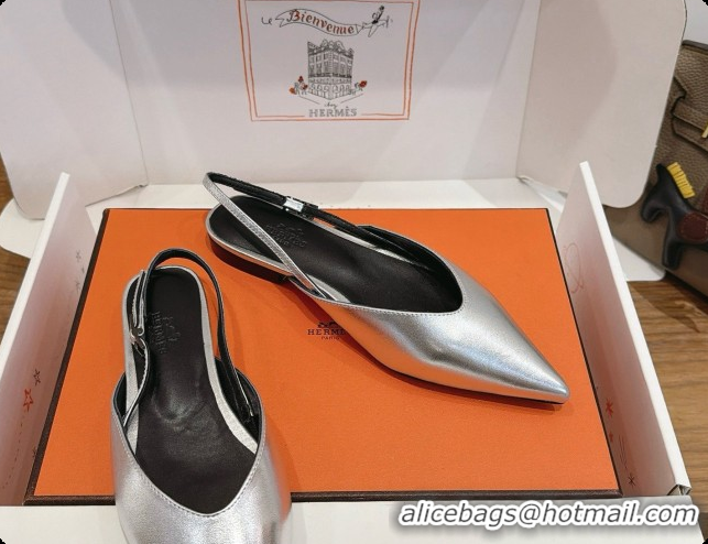 Original Cheap Hermes Nicoletta Slingback in Silver Leather 6080621 2026