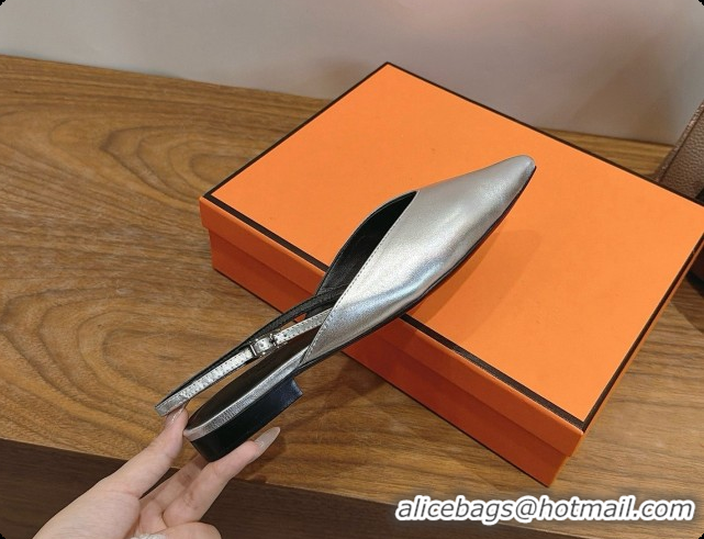 Original Cheap Hermes Nicoletta Slingback in Silver Leather 6080621 2026