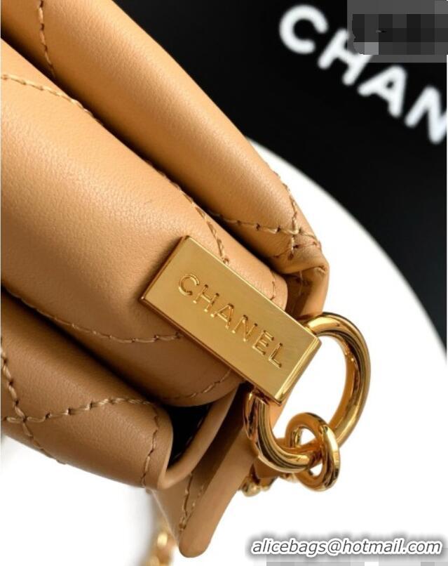 Famous Brand Chanel Calfskin Chain Shoulder Bag AS6255 Apricot 2026