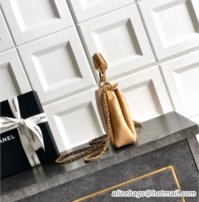 Famous Brand Chanel Calfskin Chain Shoulder Bag AS6255 Apricot 2026