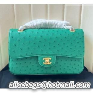 Top Grade Chanel Classic Medium Flap Bag in Ostrich Leather CHO0721 Green 2026