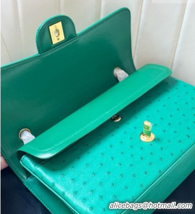 Top Grade Chanel Classic Medium Flap Bag in Ostrich Leather CHO0721 Green 2026