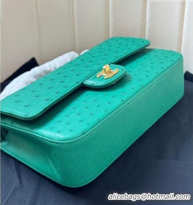 Top Grade Chanel Classic Medium Flap Bag in Ostrich Leather CHO0721 Green 2026