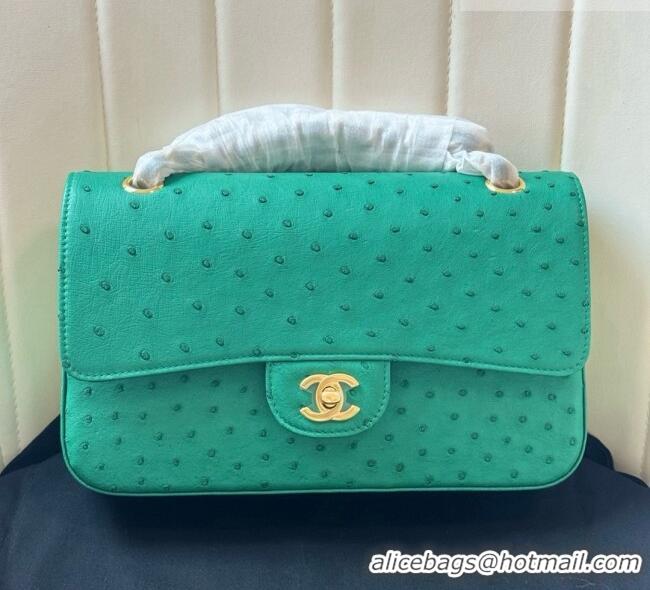 Top Grade Chanel Classic Medium Flap Bag in Ostrich Leather CHO0721 Green 2026