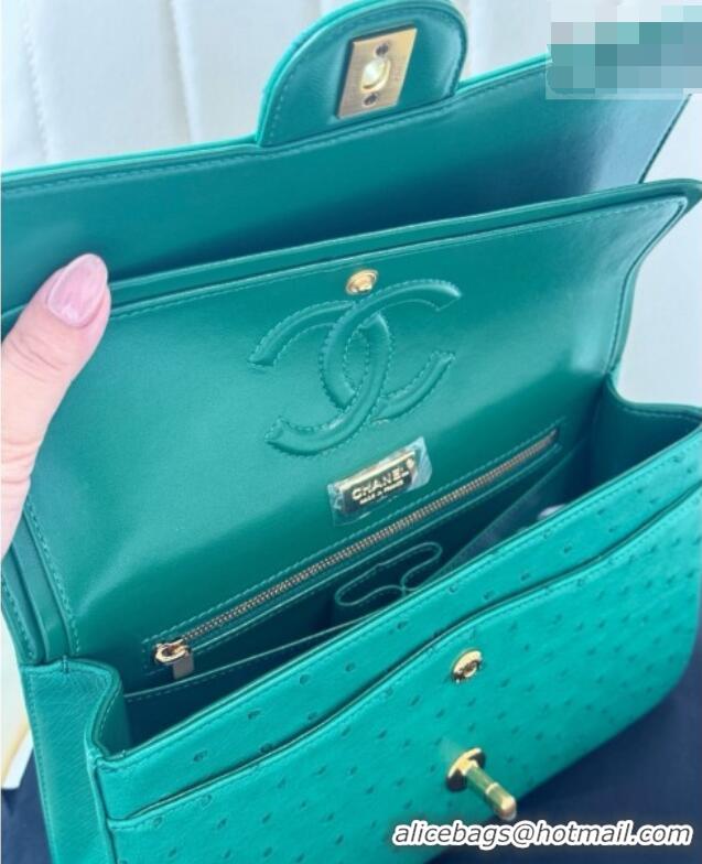 Top Grade Chanel Classic Medium Flap Bag in Ostrich Leather CHO0721 Green 2026