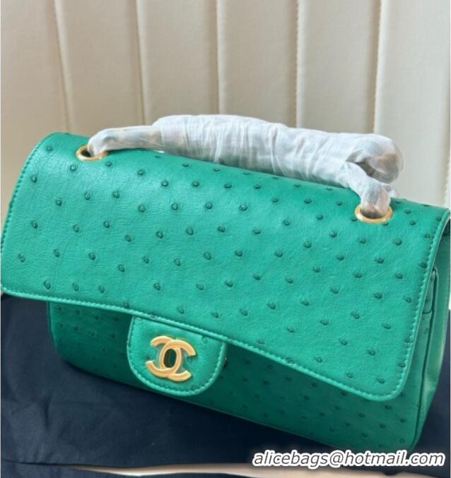 Top Grade Chanel Classic Medium Flap Bag in Ostrich Leather CHO0721 Green 2026