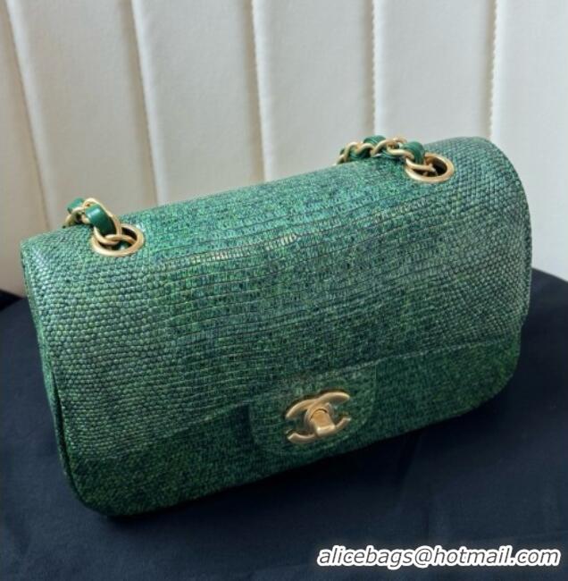 Buy Discount Chanel Classic Mini Flap Bag in Lizard Leather CHL072101 Green 2026