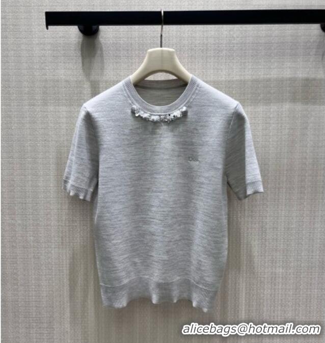 Grade Promotional Dior Wool Short-sleeved Sweater D082215 Grey 2026