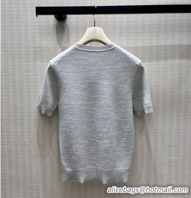 Grade Promotional Dior Wool Short-sleeved Sweater D082215 Grey 2026