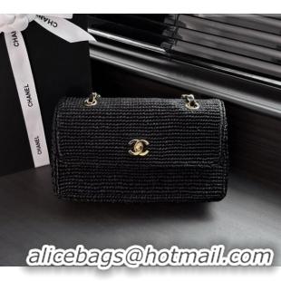 Big Discount Chanel Coco Beach Braided Raffia Flap Bag AS6088 Black 2026