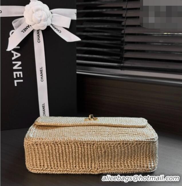 Good Looking Chanel Coco Beach Braided Raffia Flap Bag AS6088 Beige 2026