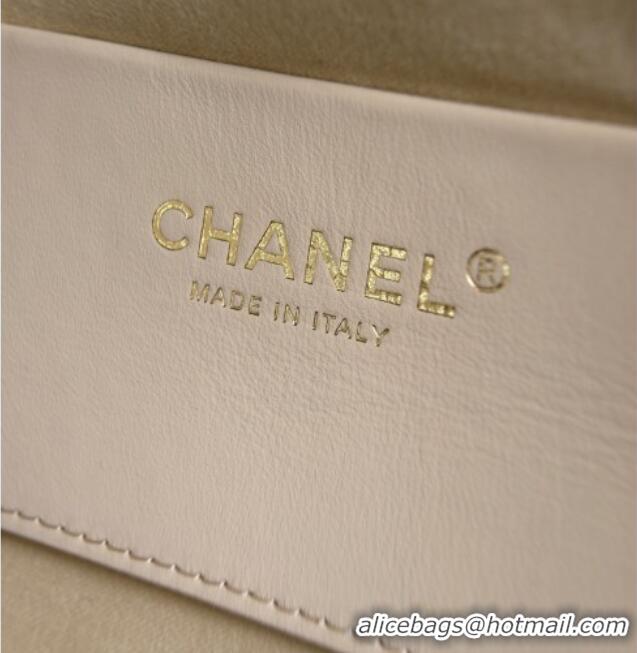 Top Design Chanel 25 Mini Handbag Catwalk Style AS5631 Beige 2026