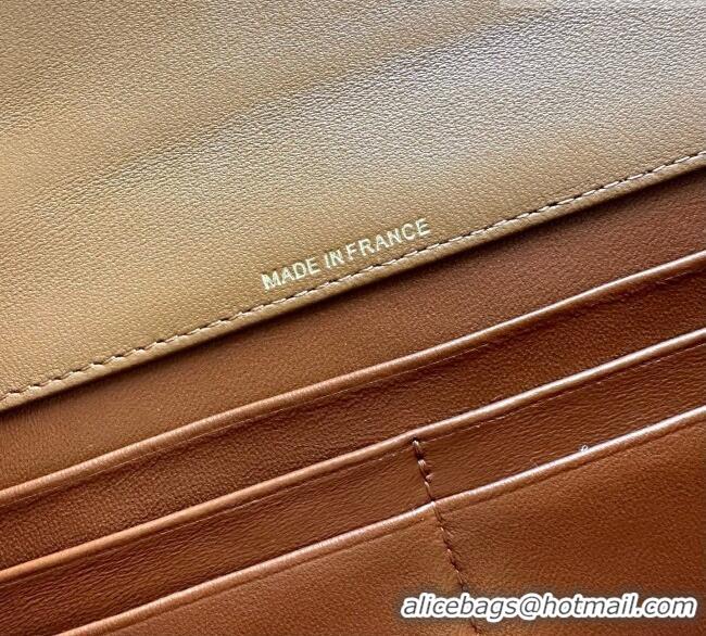 Market Sells Chanel Clutch with Chain in Lambskin AP5280 Brown 2026