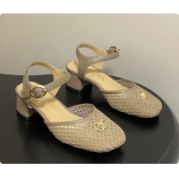 Luxurious Chanel Slingbacks Mesh & Goatskin Beige 6080104
