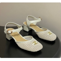 Charming Chanel Slingbacks Mesh & Goatskin White 6080104