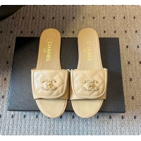 Top Grade Chanel Mules Shiny Calfskin Beige 6080106