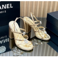 Most Popular Chanel Sandals Sheepskin with a metallic sheen Gold 95mm 6080203