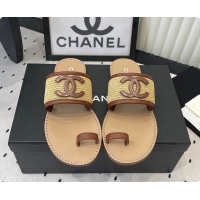 Classic Hot Chanel Mules Raffia & Lambskin Beige & Brown 6080209