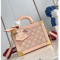 Best Quality Louis Vuitton Travels With Grace Coddington Petite Valise Meowgram M25698