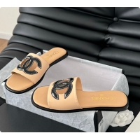 Sophisticated Chanel Women Slide Brown 6080605