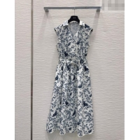 Luxury Design Dior Printed Dress DR042323 Blue 2026