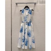 New Fashion Dior Printed Dress DR042331 White/Blue 2026