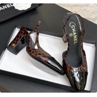 Good Quality Chanel Crocodile Pattern Calfskin & Patent Leather Slingbacks Pump CH072715 Dark Brown 2026