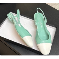 Good Looking Chanel Crocodile Pattern Calfskin & Patent Leather Slingbacks Flat CH072743 Light Green 2026