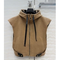 Trendy Design Promotional Louis Vuitton Wool Vest LV081117 Brown 2026